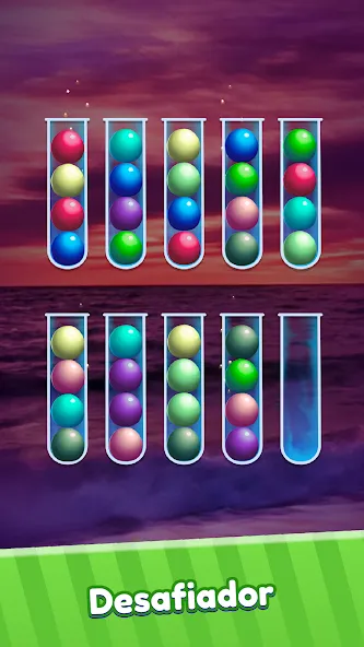 Ball Sort Puzzle